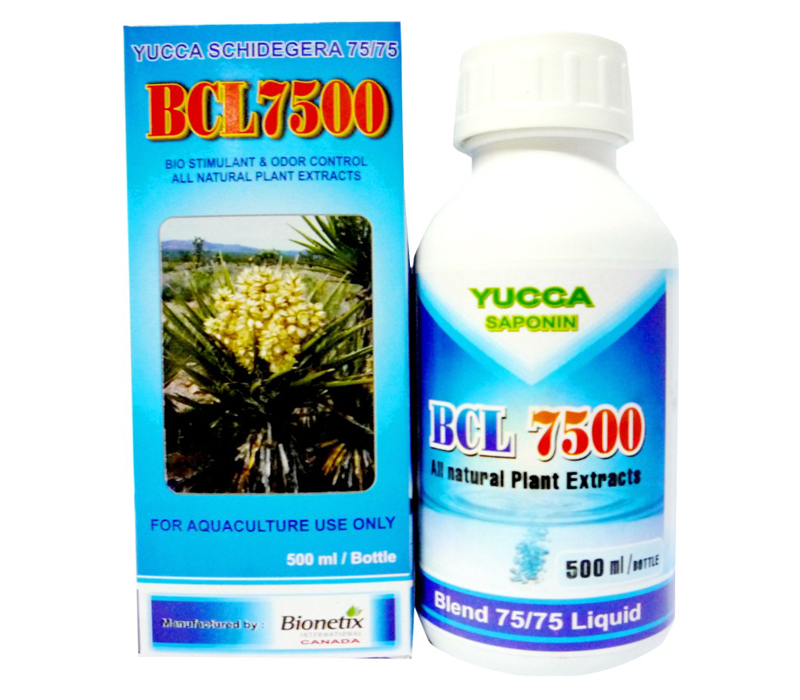 BCL7500